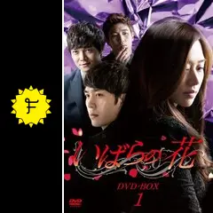 韓国ドラマ「いばらの花 」DVD-BOX1-4 全40巻 全120話 Amazon.co.jp: いばらの花 DVD-BOX1 : チャン・シニョン, ソ