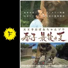 【天王寺動物園】春子の最後の夏 DVD 劇場版「天王寺おばあちゃんゾウ 春子 最後の夏」 | TVO テレビ大阪