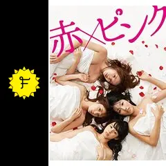 赤×ピンク ディレクターズ・ロングバージョンの動画配信サービス・視聴