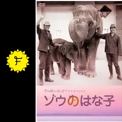 ゾウのはな子 - ドラマ情報・レビュー・評価(ネタバレなし) | Filmarks