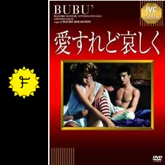 愛すれど哀しくの動画配信サービス・視聴方法・サブスクまとめ