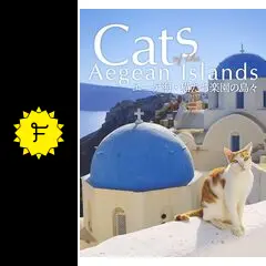 _.jpg