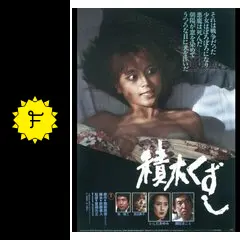 激レア　VHS 積木くずし　渡辺典子　藤田まこと　いしだあゆみ　未DVD化 激レア VHS 積木くずし 渡辺典子 藤田まこと いしだあゆみ 未DVD
