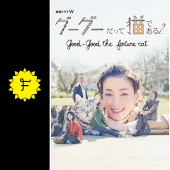 DVD 連続ドラマW グーグーだって猫である2 犬童一心監督】連続ドラマW グーグーだって猫である2 -good good