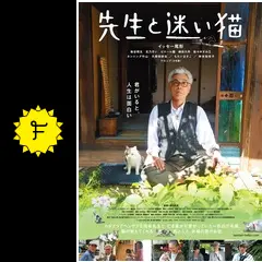 先生と迷い猫