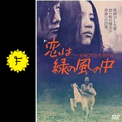 恋は緑の風の中の動画配信サービス・視聴方法・サブスクまとめ