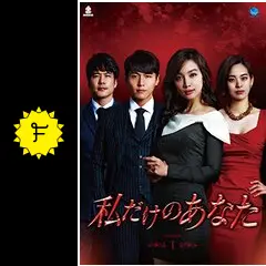 私だけのあなたの動画配信サービス・視聴方法・サブスクまとめ