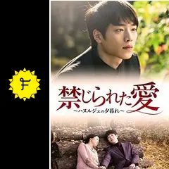 ソガンジュン　美品　禁じられた愛　ハヌルジェの夕暮れ　DVD 韓流　韓国ドラマ a266035.jpg