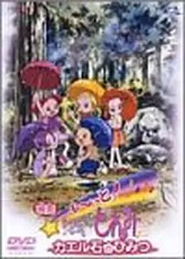 【亮】もーっとおジャ魔女どれみDVD全巻セット＋映画カエル石のひみつ _.jpg