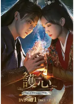 護心～デスティニー・ラブ - ドラマ情報・レビュー・評価・あらすじ