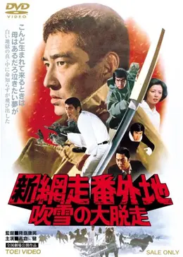 映画 大学番外地 ポスター 映画ポスター】ヤングパワー・シリーズ 大学番外地 梓英子／峰岸