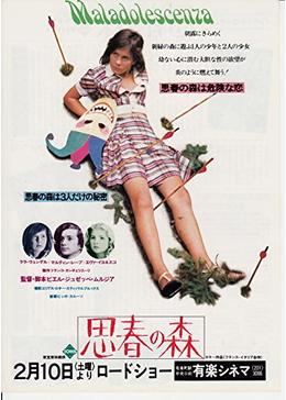 DVD 思春の森 　日本正規版 思春の森 - 映画情報・レビュー・評価・あらすじ | Filmarks映画