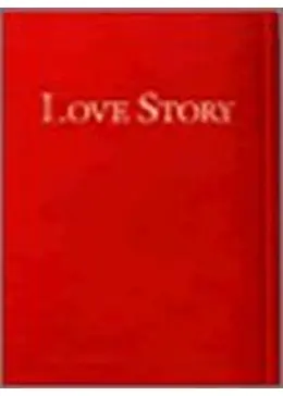 LOVE STORY 中山美穂ドラマ Love Story ラブ ストーリー DVD-BOX 中山美穂 豊川悦司 本編全