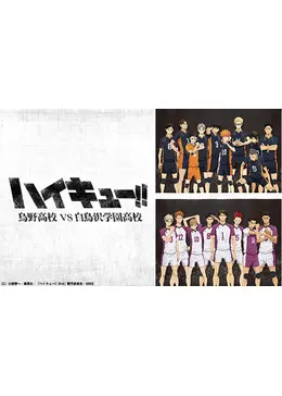 ハイキュー!! 烏野高校 VS 白鳥沢学園高校 - アニメ情報・レビュー