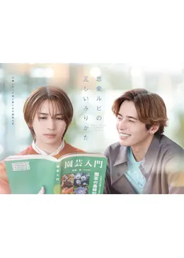 恋愛ルビの正しいふりかた - ドラマ情報・レビュー・評価・あらすじ