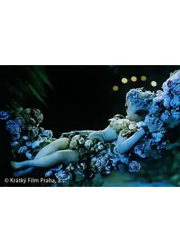 真夏の夜の夢 - 映画情報・レビュー・評価・あらすじ | Filmarks映画