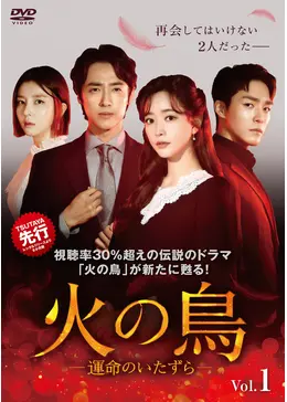 火の鳥 ～運命のいたずら～　DVD32枚セット　海外ドラマ　全巻送料無料 _.jpg