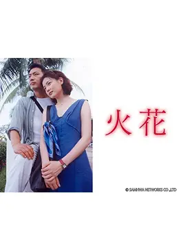 DVD 火花DVDBOX 韓国ドラマ 恋愛 韓国