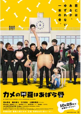 カメの甲羅はあばら骨