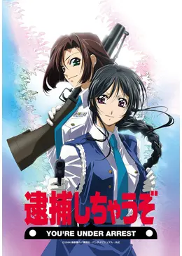 【希少】逮捕しちゃうぞ TVアニメ LD全13巻セット 90年代アニメ 当時物 LD レーザーディスク/逮捕しちゃうぞ Special 逮捕しちゃうぞ TV