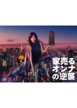 家売るオンナ/家売るオンナの逆襲/スペシャル【DVD】全11巻セット Amazon.co.jp: 家売るオンナ 第1期 全5巻 + 帰ってきた家売る