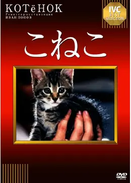 こねこ 7S／96猫｜音楽ダウンロード・音楽配信サイト mora ～“WALKMAN”公式