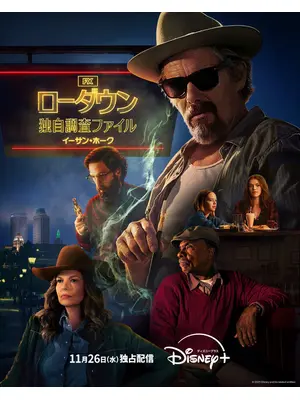 ローダウン 独自調査ファイル