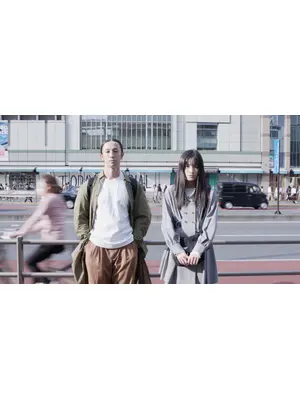 Behavior of the city