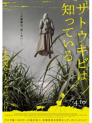 サトウキビは知っている