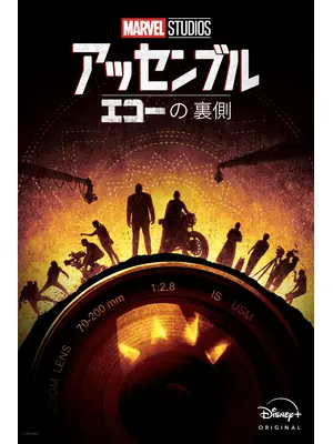 アッセンブル：エコーの裏側
