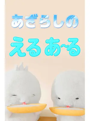 あざらしのえるあ～る