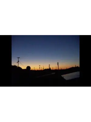 私の記憶が確かならば