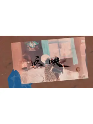 反映