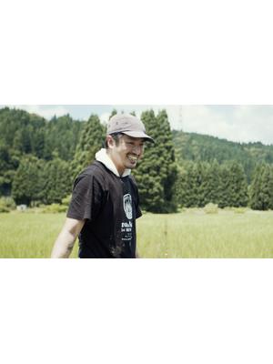 イネとカゼ