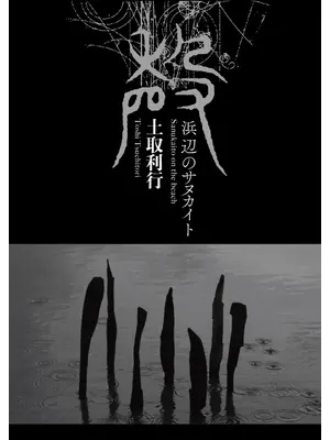 浜辺のサヌカイト