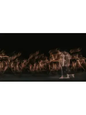 英国ロイヤル・バレエ＆オペラ in シネマ 2025/26 ロイヤル・バレエ『ウルフ・ワークス』