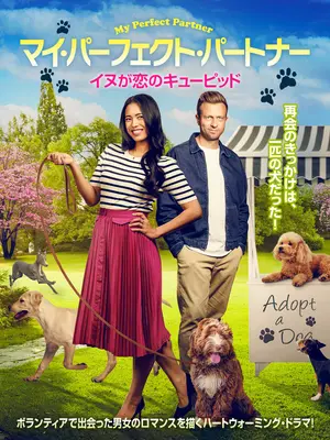 マイ・パーフェクト・パートナー　イヌが恋のキューピッド