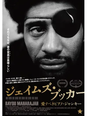 ジェイムズ・ブッカー 愛すべきピアノ・ジャンキー／ジェイムズ・ブッカー ニュー・オーリンズのピアノ王⼦