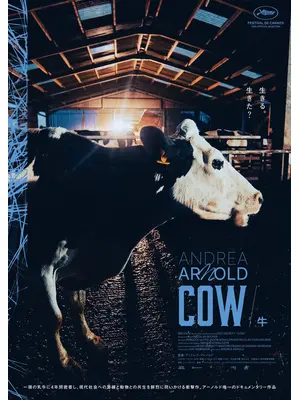 COW／牛