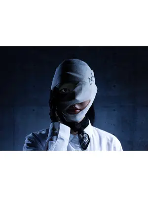 ディープリベンジ-顔を捨てた家政婦-