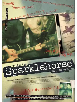 悲しくて美しい世界／THIS IS SPARKLEHORSE