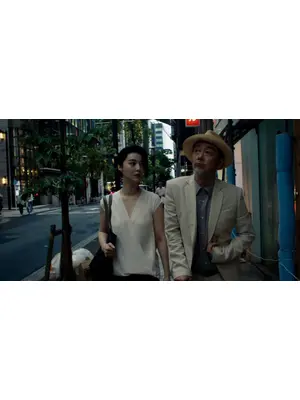 Diary of a Mad Old Man（原題）