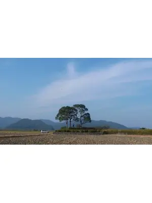 風船