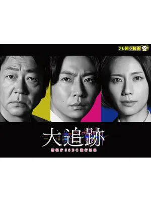 大追跡～警視庁SSBC強行犯係～