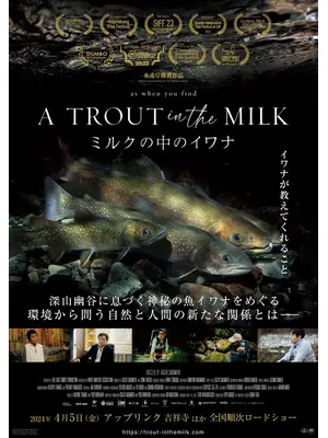 A TROUT in the MILK ミルクの中のイワナ