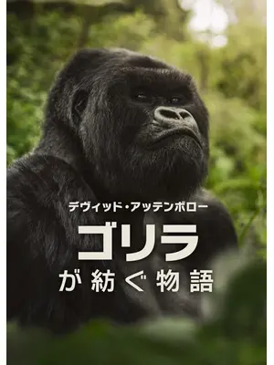 デヴィッド・アッテンボロー: ゴリラが紡ぐ物語