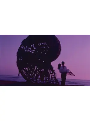 アンモナイトのささやきを聞いた