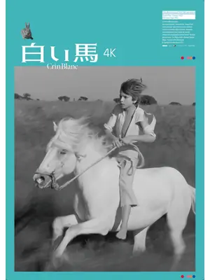 白い馬 4K