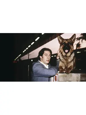 REX ～ウィーン警察シェパード犬刑事～