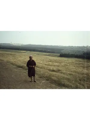 豊穣な記憶